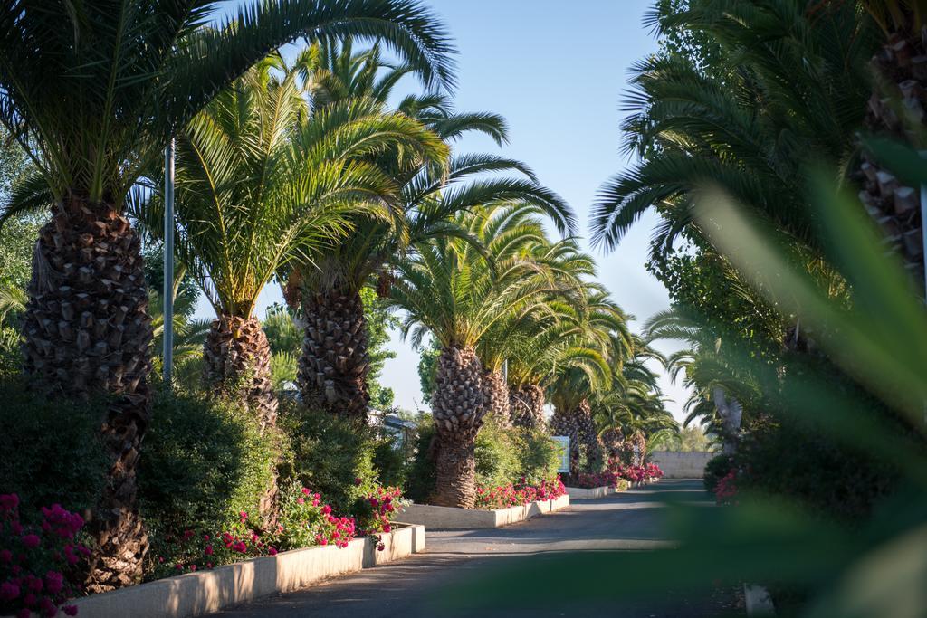 Officiel Siblu La Carabasse Camping Vias